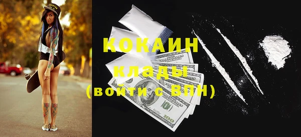 соль ск Абаза