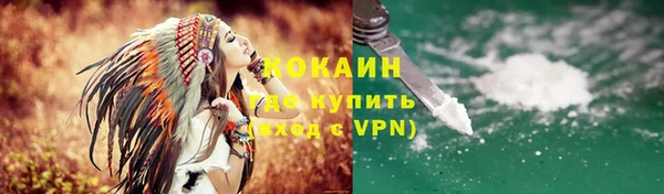 соль ск Абаза