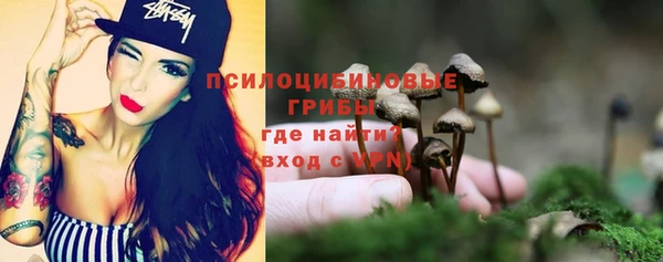 сатива Сосновка