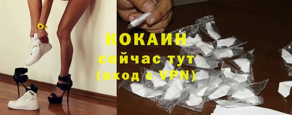 сатива Сосновка